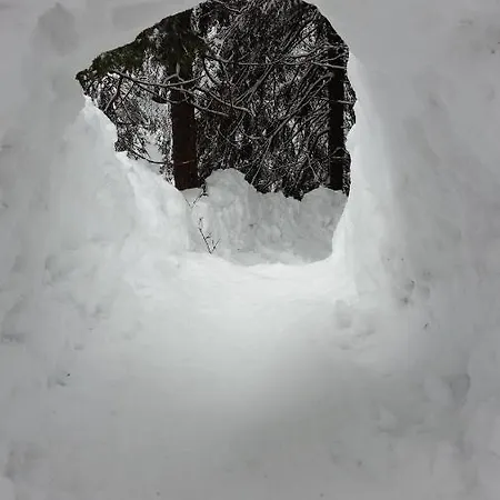 Hotel apartamentowy Biela Put 17 - 18